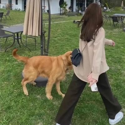 虽然只是弄丢了手机2