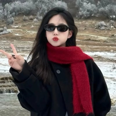 复仇少女组
